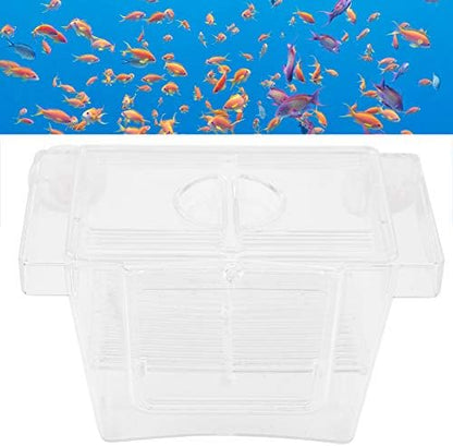 Split Fish Betta 5 Gallon Fish 14 X 8 X 8 Acrylic Aquarium Fish Breeding Box Incubation Box Small Size