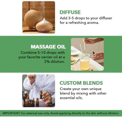 Majestic Pure Essential Oil with Glass Dropper - 100% Pure and Natural - Essential Oils for Diffuser, Aromatherapy, Soap and Candle Making, Tea Tree Essential Oil, Tea Tree Oil, 2 Fl Oz