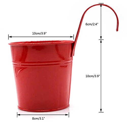 KINGLAKE Flower Pots,10 Pcs Metal Iron Hanging Flower Plant Pots Balcony Garden Plant Planter Baskets Fence Bucket Pot 4'' Flower Holders with Detachable Hook
