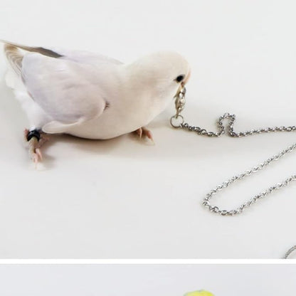Bird Foot Chain Flying Stainless Steel Training Rope Outdoor Parrot Ankle Foot Ring Accessories Bird Harness Leash Prevent Escaping (4#)