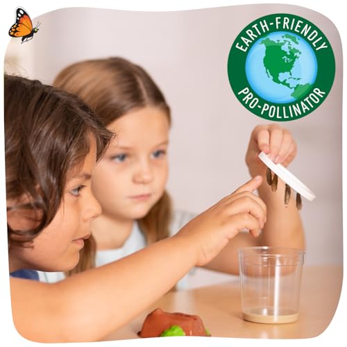 Insect Lore Butterfly Garden - 8" Habitat with 5 Live Baby Caterpillars - Includes Life Cycle Figurines, Stickers, Wind up, Mini Habitat | Birthday or Teacher Gift Set