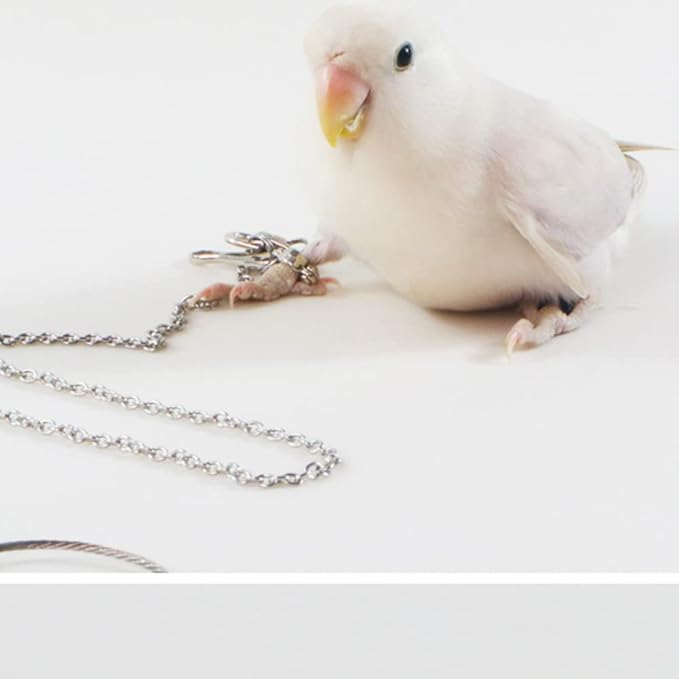Bird Foot Chain Flying Stainless Steel Training Rope Outdoor Parrot Ankle Foot Ring Accessories Bird Harness Leash Prevent Escaping (5#)