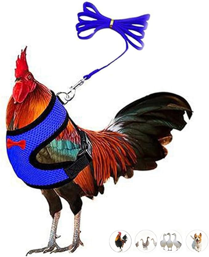 Chicken Harness and Leash Set Adjustable Mesh Breathable Duck Training Harness Pets Leashs for Goose Hen Rooster Parrots Dog Kitten, Blue L