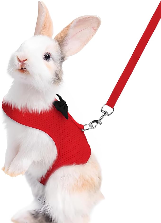 Red Rabbit Harness and Leash Set, with Cute Bow Soft Breathable Mesh Bunny Vest Harness for Rabbits Kitten Ferret Puppy Small Pets Walking, S
