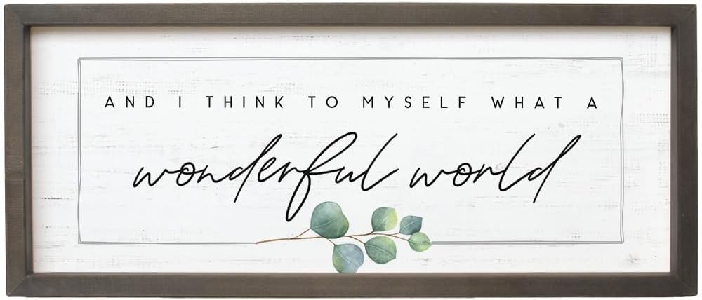 Simply Said, INC Farmhouse Frames What a Wonderful World Wooden Sign, Rustic Framed Wall Art, Inspirational Farmhouse Home Decor, 10 x 24 Inch