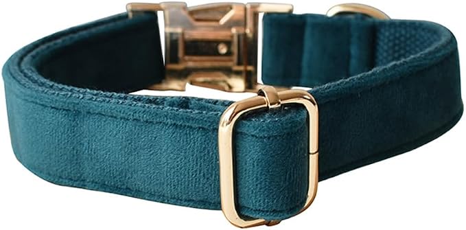 Love Dream Velvet Dog Collar and Leash Set, Soft & Comfy Adjustable Dog Leash and Collar with Heavy Duty Metal Buckle for Small Medium Large Dogs Training & Walking (Medium, Peacock Green)