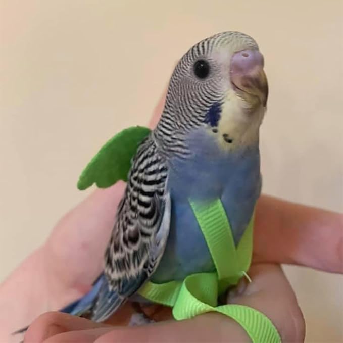 Pet Parrot Bird Harness and Leash, Adjustable Training Design Anti-Bite, Bird Nylon Rope with Cute Wing for Parrots, Suitable for Macaw Cockatoo Cockatiel Lovebird Conure African Grey (Pink,S)