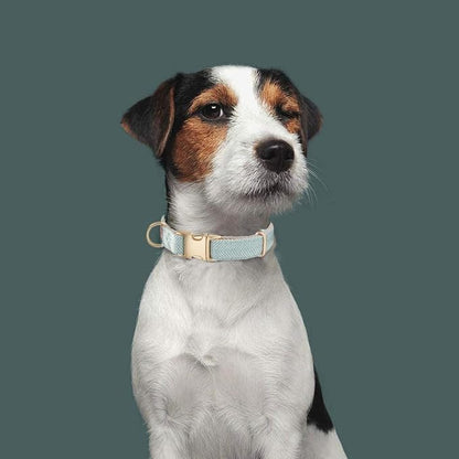 Luxury Soft Cotton Tweed Fabric Dog Collar & Leash Set with Gold Buckle – Durable Fabric, Stylish Design for Everyday Walks(Large LtBlue)