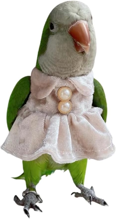 Bird Costume Bird Diaper Flight Suit Parrot Velvet Fleece Skirt Clothes Cosplay Photo Prop for Conure Lovebird Parakeet Cockatiel Macaw Small Animals Apparel (White,XX-Large)