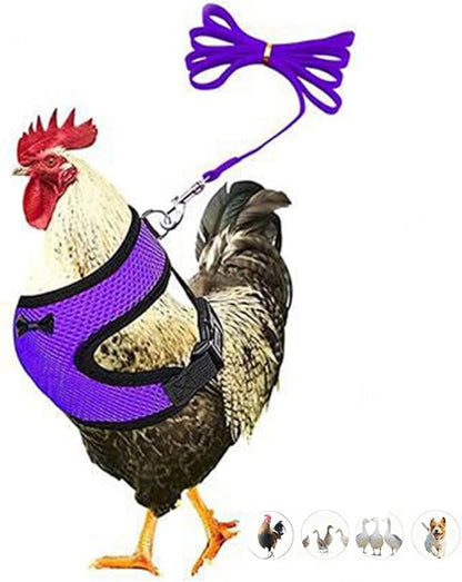 Chicken Harness and Leash Set Adjustable Mesh Breathable Duck Training Harness Pets Leashs for Goose Hen Rooster Parrots Dog Kitten, Purple S