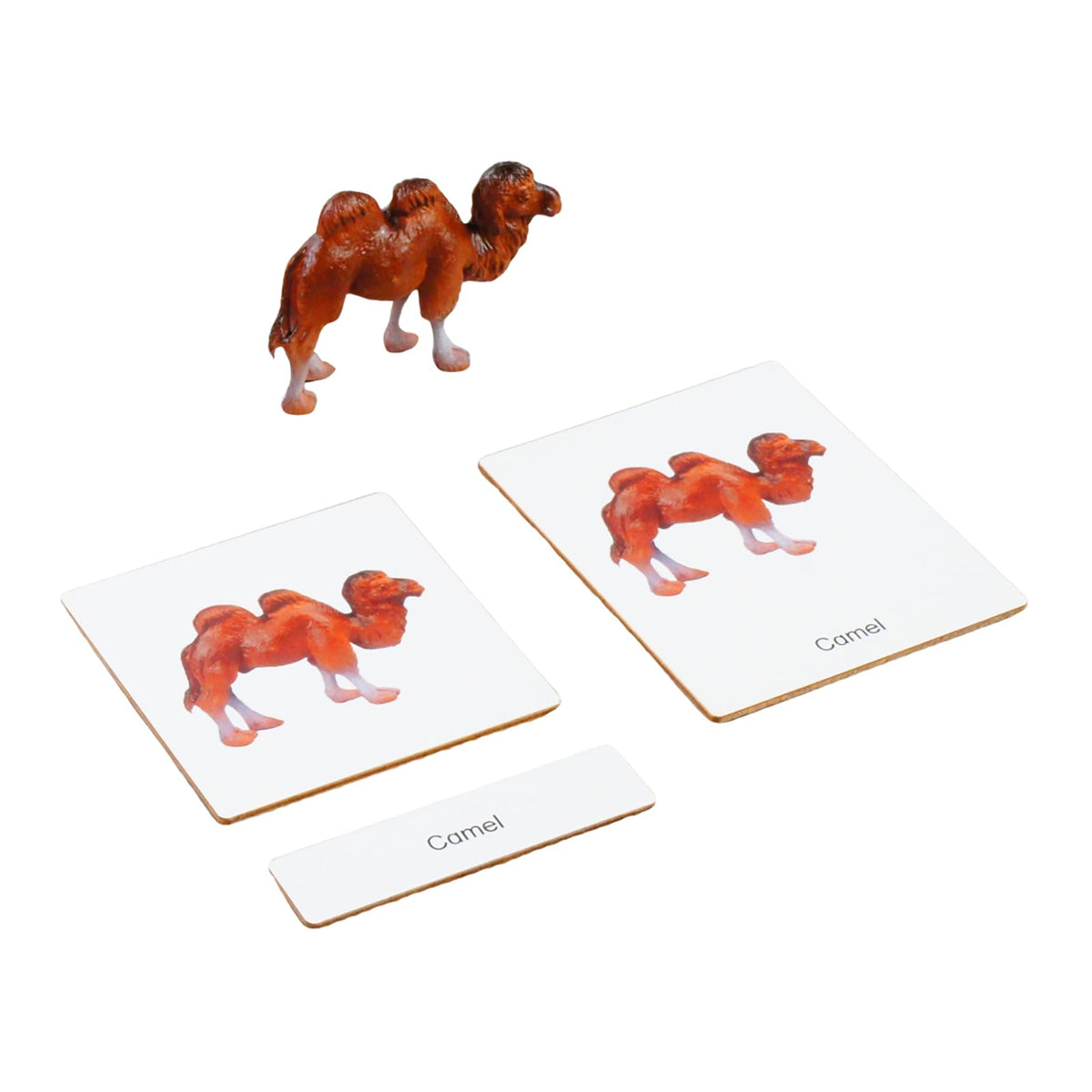 ancona Asian Animals, Spanish/English Bilingual, Montessori Preschool Memory Matching Game Box Set with Animal Figurines & 3-Part Cards, Early Education Toy