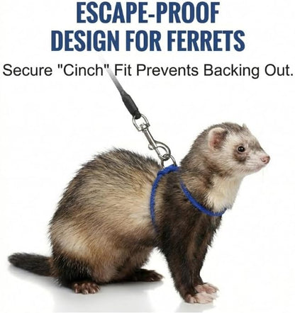 [3-Piece Set] Escape Proof Small Pet Harness and Leash - 10ft (3m) Retractable Lead & 2 Adjustable Rope Vests for Kittens, Ferrets, Rabbits, Guinea Pigs & Small Pets