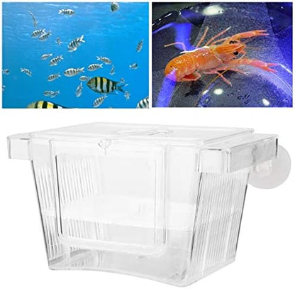 Split Fish Betta 5 Gallon Fish 14 X 8 X 8 Acrylic Aquarium Fish Breeding Box Incubation Box Small Size