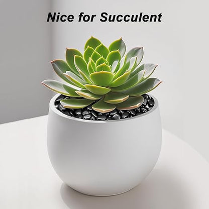 Terrarium Supplies,Virekm River Rocks, Decorative Ornamental Pebbles,Garden Landscaping Stones,Gravel Filler for Home Decoration Flower Bed Fish Tank Plants Vases Succulents