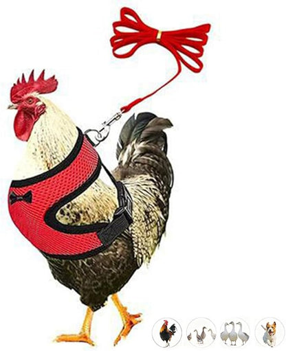 Chicken Harness and Leash Set Adjustable Mesh Breathable Duck Training Harness Pets Leashs for Goose Hen Rooster Parrots Dog Kitten, Red L