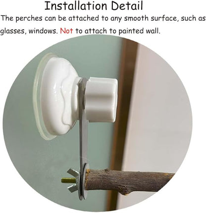 Natural Bird Perch Stand with Suction Cup for Window Mirror Car Shower Travel Bath for Small Medium Large Parrot Parakeet Cockatiel Concure Budgie Macaw Finch Y Shap Indoor Outdoor Outside Wild Birds