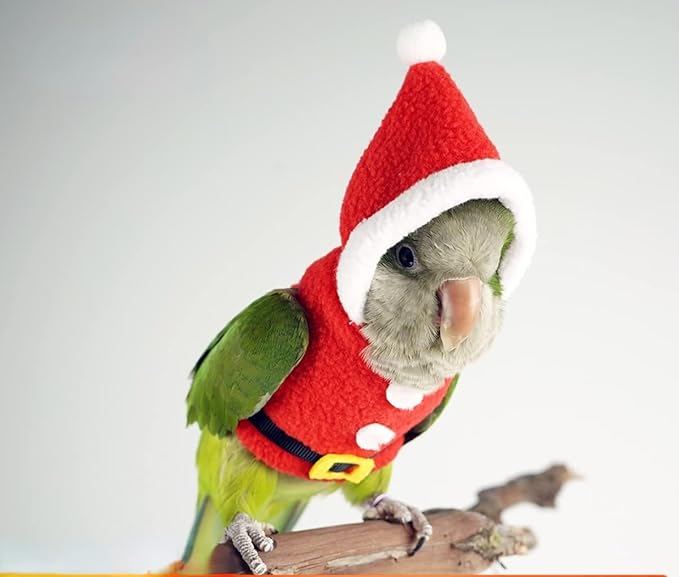 Bird Clothes Birds Flight Suit, Christmas Hoodie for Parrots Cockatiel Sun Conure Christmas Party Cosplay Photo Prop Bird Shirt Small Animals Apparel (Without Diaper,Pigeon)