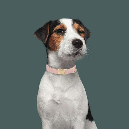 Soft Corduroy Dog Collar and Leash Set Adjustable Durable Dog Collars with Metal Buckle and Lead for Female Small Dogs,Baby Pink