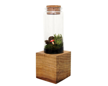 Moss + Twig Terrarium Kit with Wood Base - Handmade in New York City, NY