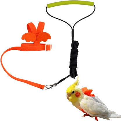 Pet Parrot Bird Harness and Leash, Adjustable Training Design Anti-Bite, Bird Nylon Rope with Cute Wing for Lovebird Budgie African Grey Macaw Conure (Orange,XL)