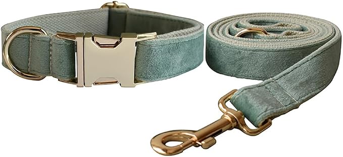 Love Dream Velvet Dog Collar and Leash Set, Soft & Comfy Adjustable Dog Leash and Collar with Heavy Duty Metal Buckle for Small Medium Large Dogs Training & Walking (XLarge, Mint Green)