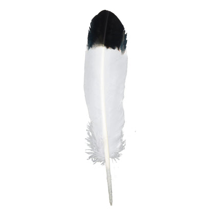 Handy Lidy 20pcs 10-12" Turkey Feather Round Wing Quill for DIY Art Accessories Halloween Party Decoration Wedding Costumes-White w/Black Tips