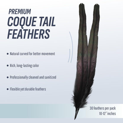 Schuman Feathers Black Coque Tail Feathers 30 Pack (10-12 Inch) – Natural Rooster Feathers for Crafts, Costumes, Decor, DIY, Halloween, Mardi Gras – Packed in USA, U.S. Quality Control