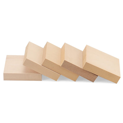 LEXININ 20 PCS 4 x 4 x 1 Inch Square Wood Carving Blocks, Unfinished Basswood Blocks, Blank Wooden Blocks for Crafts, DIY Projects, Carving