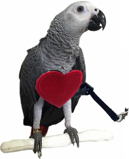 Adjustable Birds Harness and Leash Parrot Harness Leash Training Supplies Pet Anti-bite Outdoor Flying Rope for Conures Budgerigar Lovebird Cockatiel Mynah (XS)