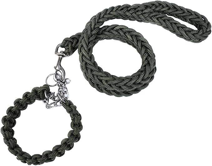 Love Dream Dog Collar and Leash Set, Heavy Duty Nylon Braided Rope Strong 4 FT Dog Leash and Martingale Training Collar for Small Medium Large Dogs Training and Walking (Green)
