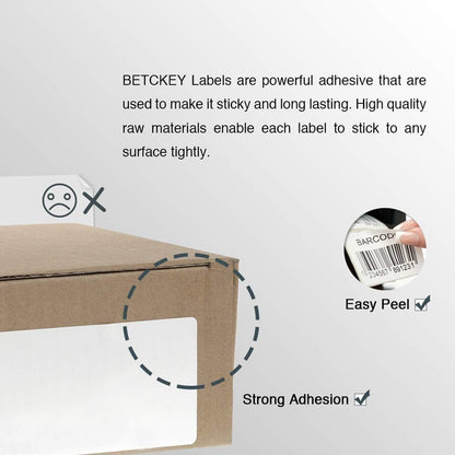 BETCKEY - Compatible DYMO 99019 (2-5/16" x 7-1/2") Large Lever Arch File Labels, Compatible with DYMO Labelwriter 450, 4XL, NOT Fit 550 & 5XL [10 Rolls/1500 Labels]