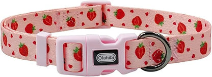 Dog Collar Leash Set, Fruit Pattern, Polyester Material, Adjustable Collar and 5ft Matching Leash, for Medium Dogs.(M, Strawberry)
