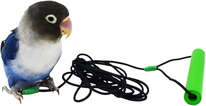 Bird Foot Chain with Flying Latex Elastic Training Rope Outdoor Parrot Ankle Foot Ring Accessories Bird Harness Leash Prevent Escaping (Model4-With 236inch Leash)