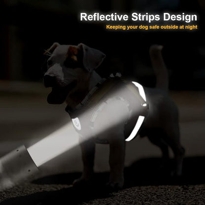 FEimaX Dog Harness and Leash Set for Walking, Soft Mesh Adjustable Easy Control Lightweight Cat Vest Harnesses with Reflective Strips, Escape Proof Small Dogs Cats Vests