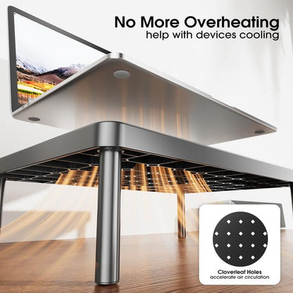 WiseBegan Monitor Stand for Desk - Ergonomic Monitor Riser, Laptop Stand with Non-Slip Pads, Sturdy & Stable Computer Stand with Cooling Holes, Desk Organizer for Laptop, Printer, 14.1''×9.4''×3.9''