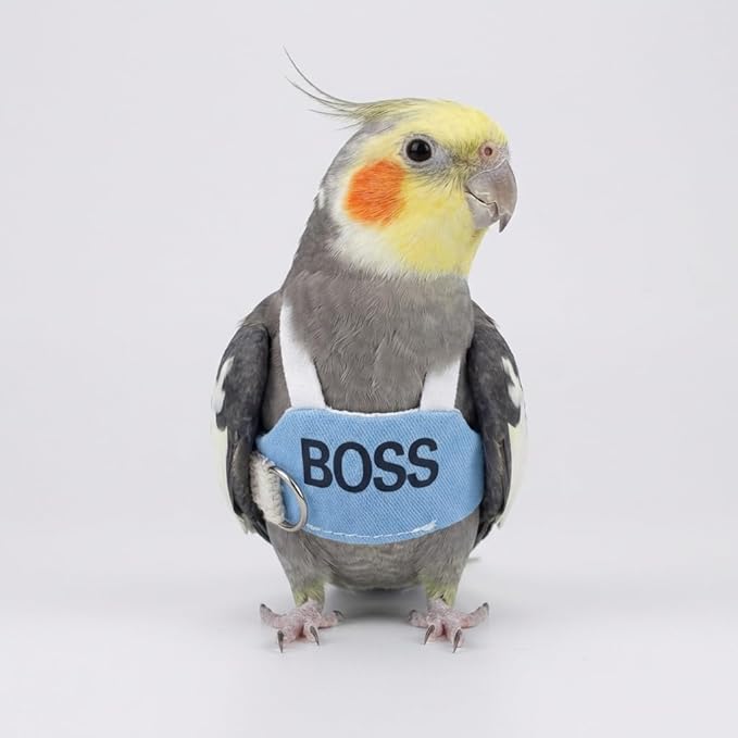 2 Pack Bird Flight Suit Vest, Adjustable Parrot Harness Clothes with Cute Design, Anti-Bite Outdoor Training Outfit for Parakeet, Cockatiel, Conure, Quaker, Budgie (2M,with Leash)