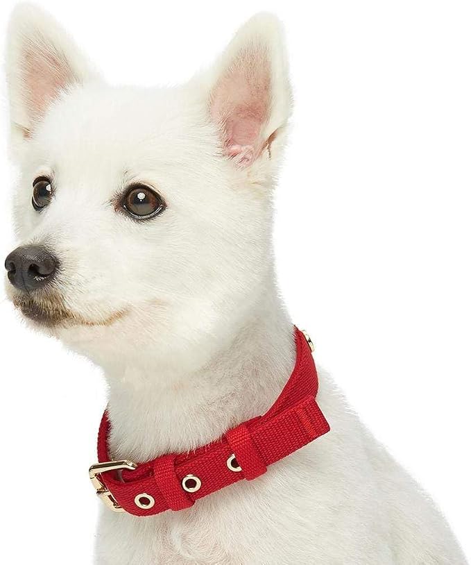 Blueberry Pet Classic Matching Dog Collar & Rope Leash Set in Red, Adjustable Neoprene for Small Dogs - Puppy Essentials, Heavy Duty Rope Dog Leashes, 4 ft Leash, Award Winning Brand