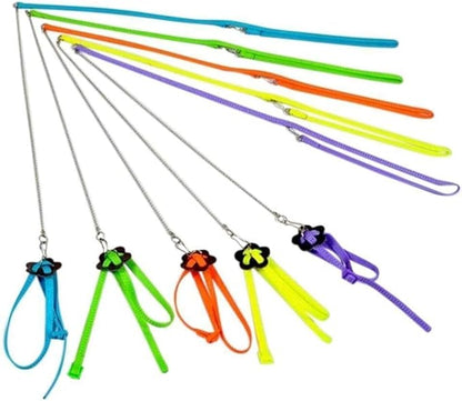 Adjustable Harness Leash for Birds 2Pack Nylon Anti-bite Outdoor Training Walking Control Rope for Parrot African Grey Cockatoo Macaw Ringneck Parakeet Cockatiel Reptile Lizard (Blue+Purple)