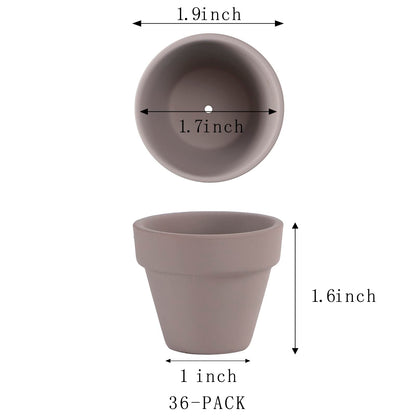 36 Mini Grey Flower Pots - 2 inch Clay, Cactus & Succulent Nursery Pots with Drainage Holes, Indoor/Outdoor Suitable