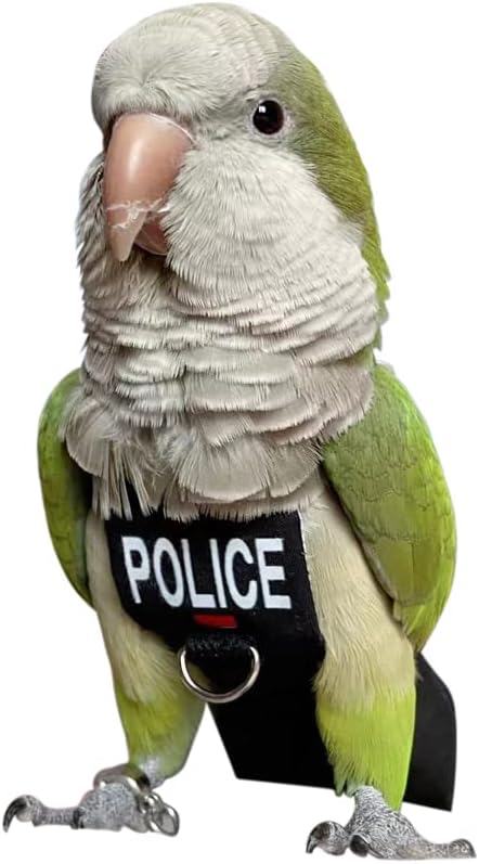Bird Clothes Parrot Diapers Bird Flight Suits, Reusable Waterproof Diapers pet Bird Supplies (XS)