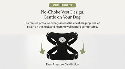 AetruffyPet 100% Cotton Dog Harness and Leash Set – Soft Breathable Vest for Small Dogs, Adjustable No-Choke Design, Lightweight Walking Set (XS/S/M) (Black, M)