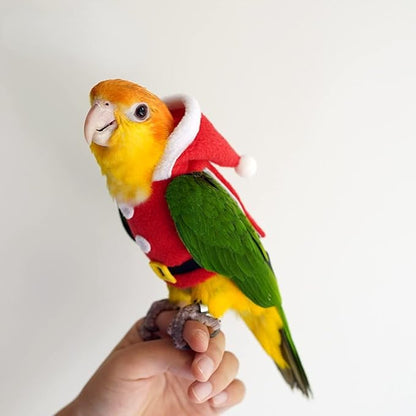 Bird Clothes Birds Flight Suit, Christmas Hoodie for Parrots Cockatiel Sun Conure Christmas Party Cosplay Photo Prop Bird Shirt Small Animals Apparel (Without Diaper,Blue Quaker)