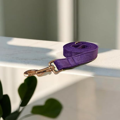 Love Dream Velvet Dog Collar and Leash Set, Soft & Comfy Adjustable Dog Leash and Collar with Heavy Duty Metal Buckle for Small Medium Large Dogs Training & Walking (Large, Dark Purple)