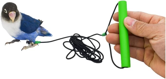 Bird Foot Chain with Flying Latex Elastic Training Rope Outdoor Parrot Ankle Foot Ring Accessories Bird Harness Leash Prevent Escaping (Model6-With 157.5inch Leash)