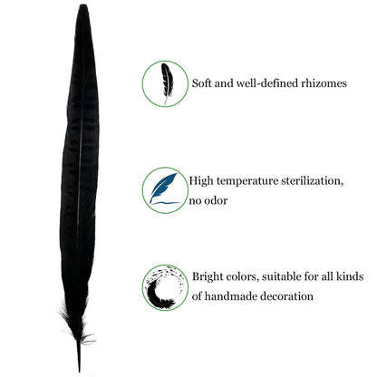 10pcs Black Pheasant Tail Feathers 10"-12" Gothic Decorative Feathers for Dark Edgy Art Projects Halloween Costumes Witchy Cosplay