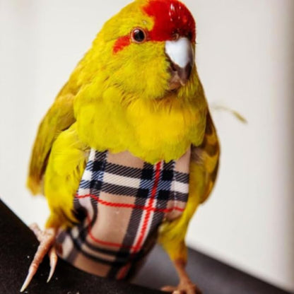 Avian Fashions FeatherWear FlightSuit X-Small Plus(2.5) Bird Diaper in BirBerry