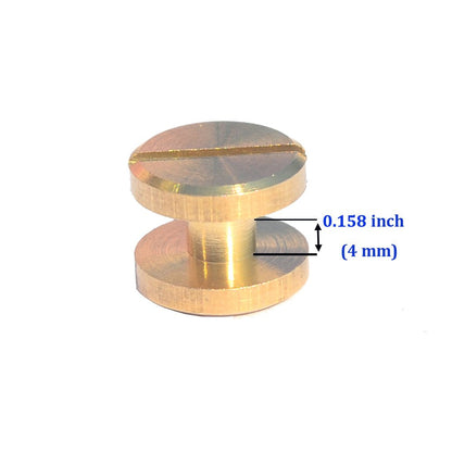 DGOL 50 Pairs Brass Backscrews Golden Leather Fasteners Sturdy Binding Rivets Belt Strap Collar Back Screws PU Studs Length (0.158 inch (4mm))