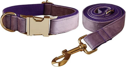 Love Dream Velvet Dog Collar and Leash Set, Soft & Comfy Adjustable Dog Leash and Collar with Heavy Duty Metal Buckle for Small Medium Large Dogs Training & Walking (Small, Purple)
