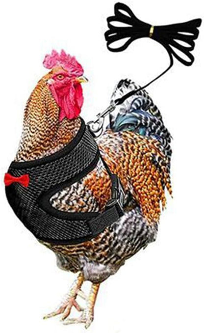 Chicken Harness and Leash Set Adjustable Mesh Breathable Duck Training Harness Pets Leashs for Goose Hen Rooster Parrots Dog Kitten, Black M