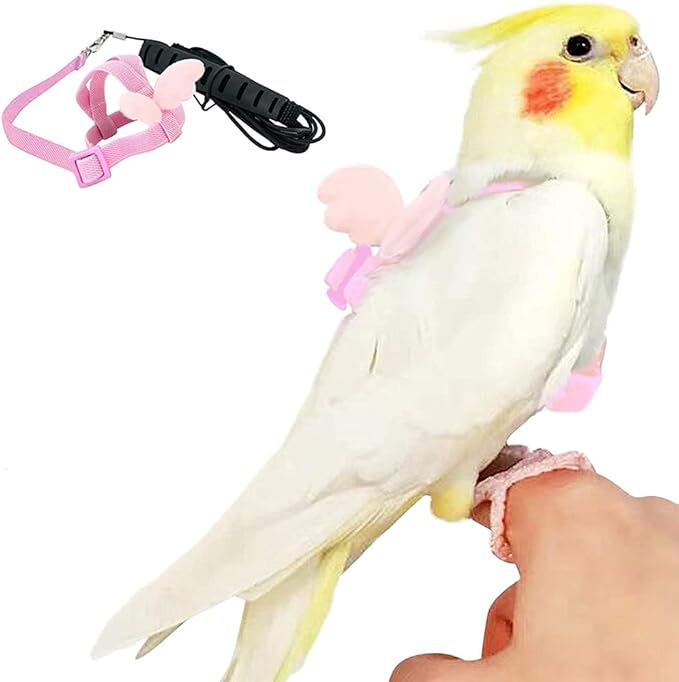 Birds Adjustable Harness and Leash, Parrot Outdoor Flying Training Traction Rope Straps with Cute Wing for Small Animal, Parrots, Pigeons, Bird Flight Vest, Pet Training Leash(Pink,L)